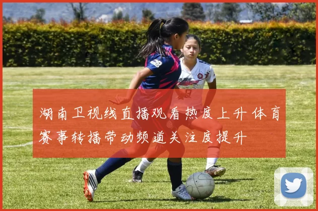 湖南卫视线直播观看热度上升 体育赛事转播带动频道关注度提升