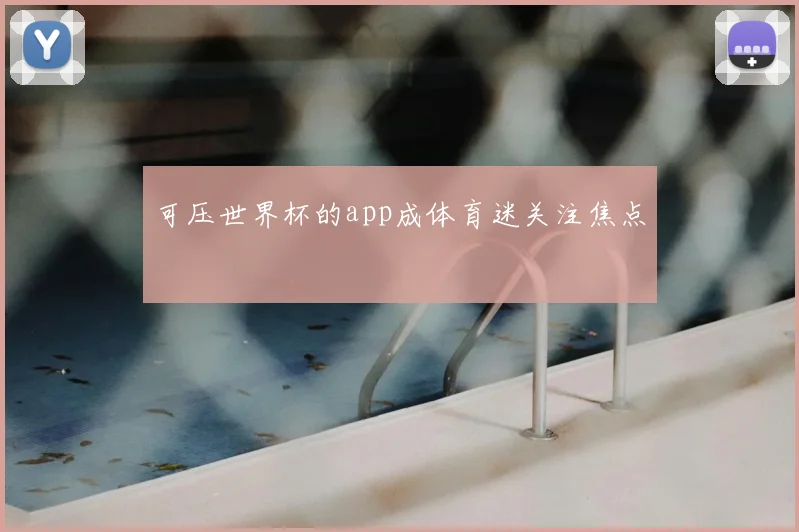 可压世界杯的app成体育迷关注焦点