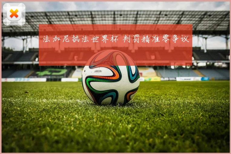 法加尼执法世界杯 判罚精准零争议