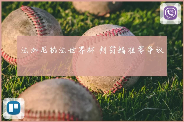 法加尼执法世界杯 判罚精准零争议
